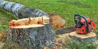 Best Arborist Consultation Services  in Glen Lyon, PA